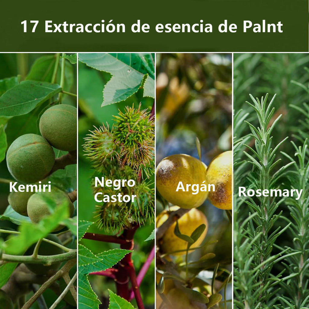 Aceite de Kemiri Anticaída y Crecimiento Capilar 55ml