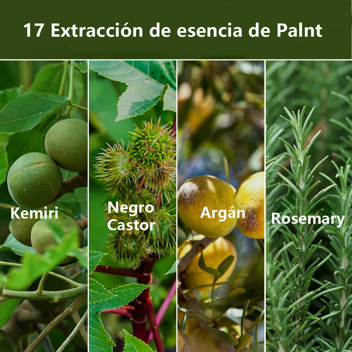 Aceite de Kemiri Anticaída y Crecimiento Capilar 55ml