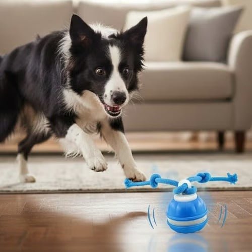 Pelota Interactiva Inteligente para Perros con Movimiento Automático - GimidealPelota Interactiva Inteligente para Perros con Movimiento AutomáticoGimidealGimidealNaranjaPelota Interactiva Inteligente para Perros con Movimiento Automático
