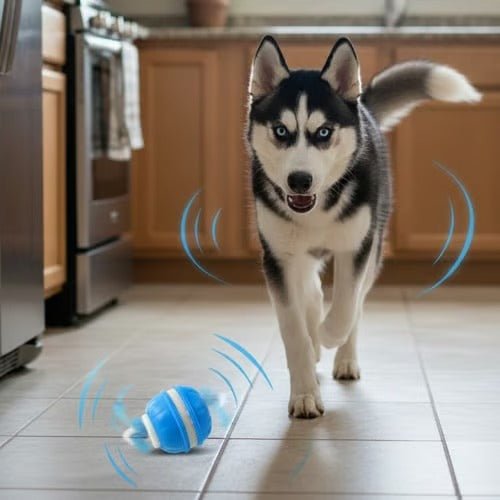 Pelota Interactiva Inteligente para Perros con Movimiento Automático - GimidealPelota Interactiva Inteligente para Perros con Movimiento AutomáticoGimidealGimidealNaranjaPelota Interactiva Inteligente para Perros con Movimiento Automático