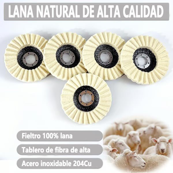 🔥 ¡Promoción de fin de año 49% de descuento! ✨ Set de Ruedas de Pulido de Lana de 5 Pulgadas para Amoladoras - Gimideal🔥 ¡Promoción de fin de año 49% de descuento! ✨ Set de Ruedas de Pulido de Lana de 5 Pulgadas para AmoladorasGimidealGimideal5 Pcs💥 ¡Mejor Descuento!🔥 ¡Promoción de fin de año 49% de descuento! ✨ Set de Ruedas de Pulido de Lana de 5 Pulgadas para Amoladoras